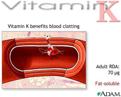 Vitamin K Benefit