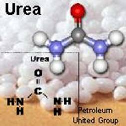 http://rds.yahoo.com/_ylt=A9gnMiFyMyJGRx0An36jzbkF;_ylu=X3oDMTA4NDgyNWN0BHNlYwNwcm9m/SIG=12h1aoilr/EXP=1176732914/**http%3A/soils.umn.edu/academics/classes/soil2125/img/9urea.jpg