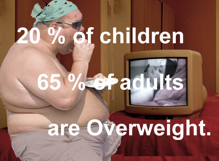 http://watercooler.cc/ZenCart/images/WC/Speech/Obesity02.jpg