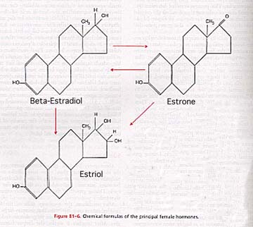 http://www.macalester.edu/psychology/whathap/UBNRP/Estrogen/Estrogens