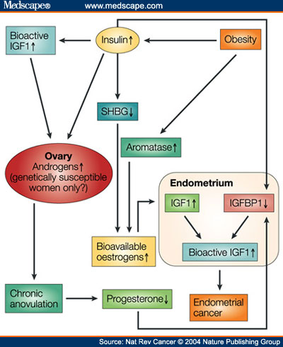 http://www.medscape.com/content/2004/00/48/73/487381/art-nrc487381.fig4.jpg