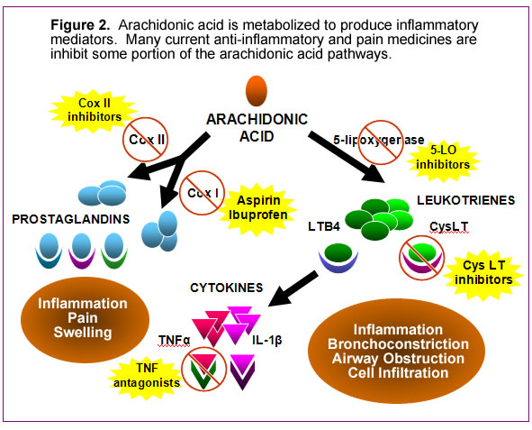 http://www.mydietaryfats.org/images/uploads/overview_figure2.jpg