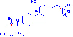 http://web.indstate.edu/thcme/mwking/1_25dihydroxyvitamind3.jpg