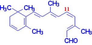 http://web.indstate.edu/thcme/mwking/cisretinal.jpg