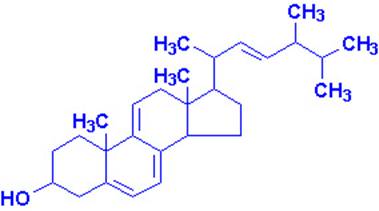 http://web.indstate.edu/thcme/mwking/ergosterol.jpg