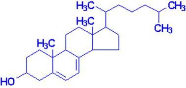 http://web.indstate.edu/thcme/mwking/7dehydrocholesterol.jpg
