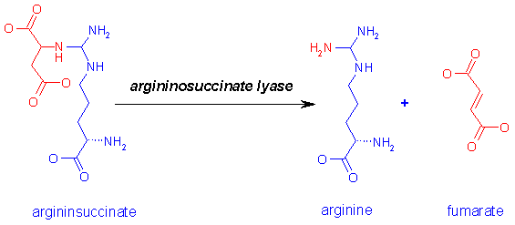 http://www.med.unibs.it/~marchesi/urea4.gif