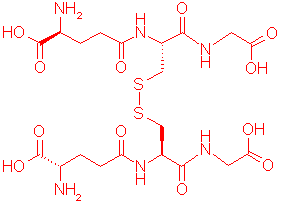 http://www.med.unibs.it/~marchesi/gssgfigure.gif