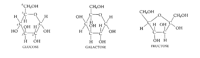 hexoses