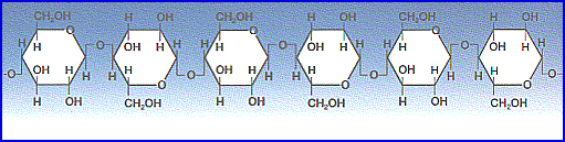 cellulose