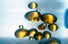 oil-and-water1.jpg